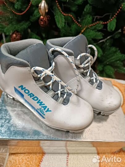 Лыжные ботинки