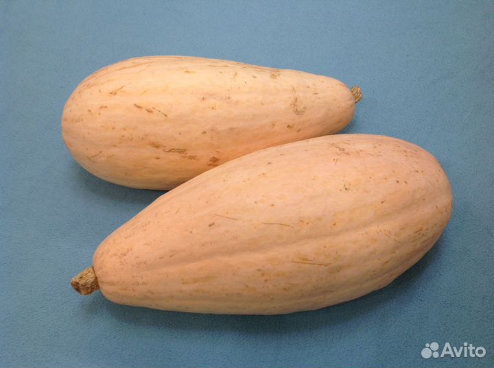 Тыква Розовый Банан семена