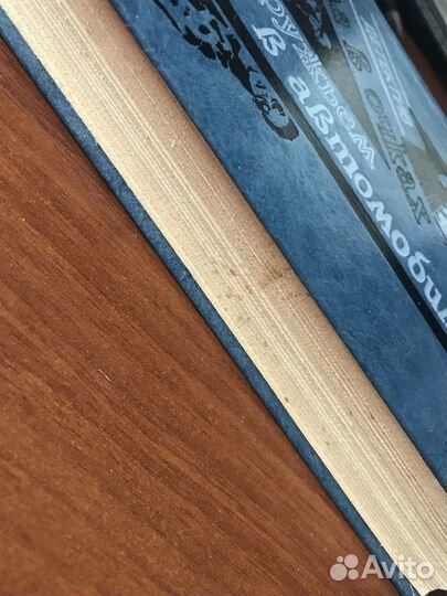 Дама в очках и с ружьем в автомобиле