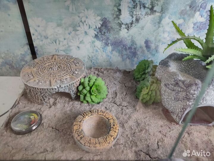 Террариум для рептилий бу