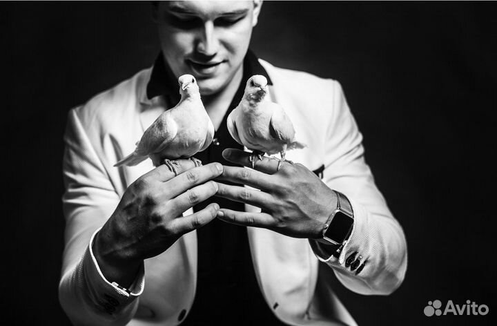 Фокусник иллюзионист