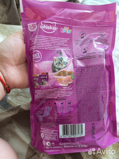 Сухой корм для котят