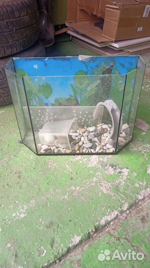 Аквариум