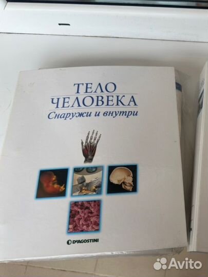Коолегция журналов Тело человека снаружи и внутри