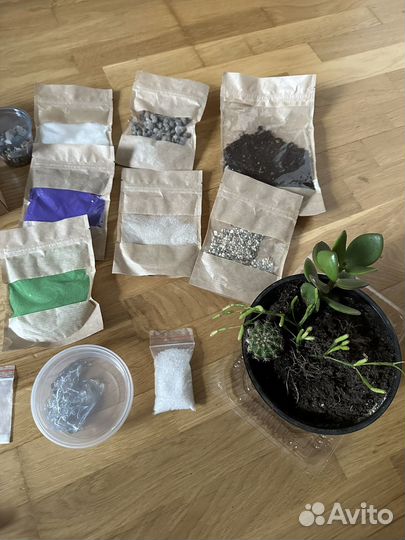 Набор для создания флорариума с суккулентами