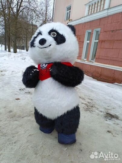 Поздравления Ростовые куклы Чебурашка Белый мишка