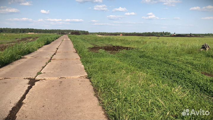 Чернозем