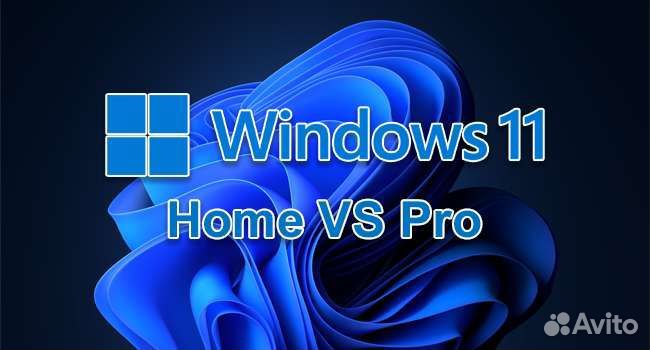 Windows 10/11 pro/home