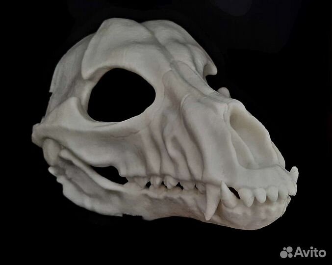 Skull Dog ver1/2
