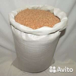 Семена пшеницы озимой