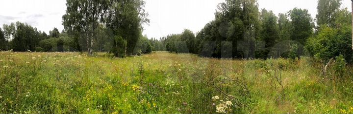 Участок 1,7 га (СНТ, ДНП)