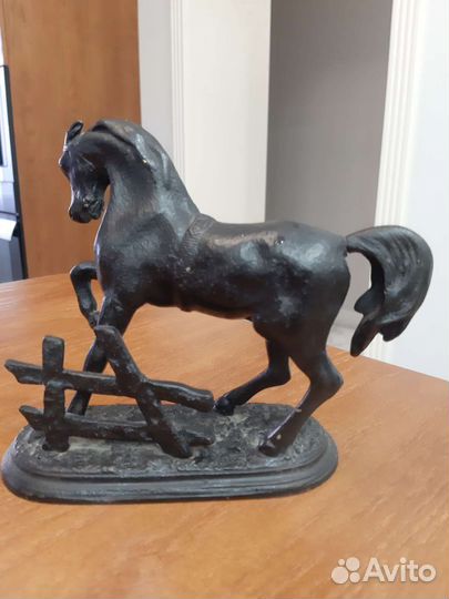 Конь у изгороди