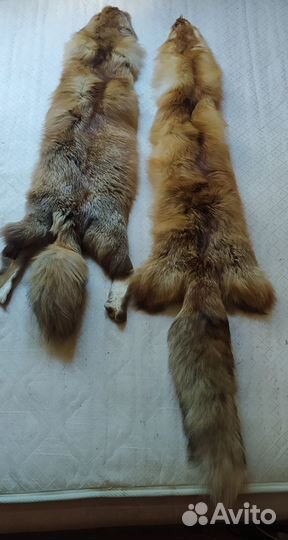 Чулок лисы 2 шт