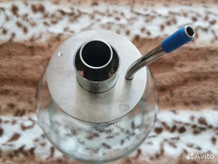 Попугай на 3 литровую банку