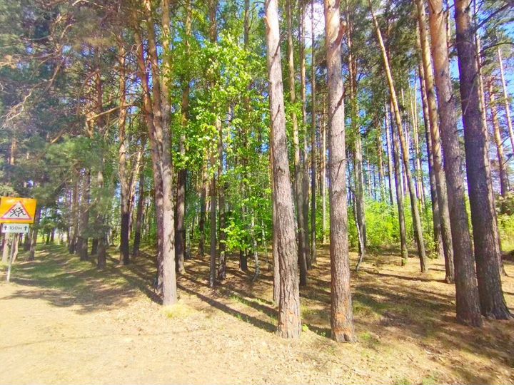 Участок 9 сот. (ИЖС)