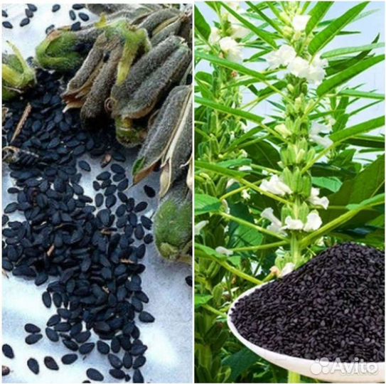 Чай,Бадьян,Кунжут чёрный семена