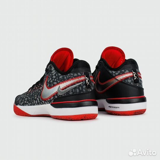 Zoom LeBron nxxt Gen EP Bred