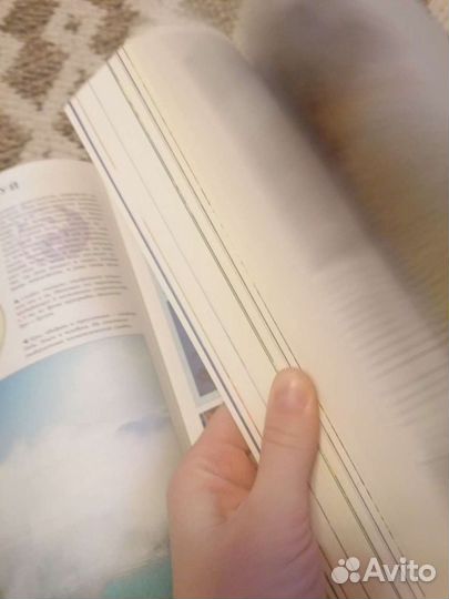 Фэн-шуй практическая энциклопедия