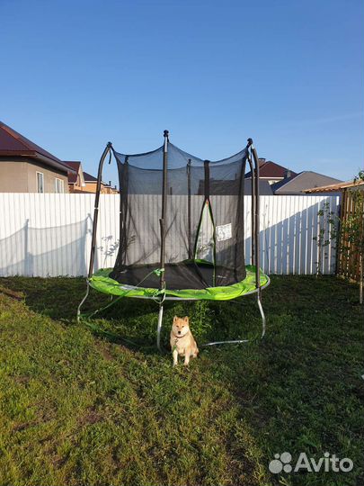 Батут с сеткой