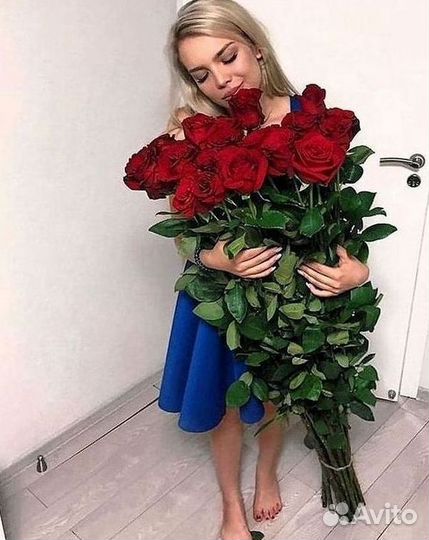 101 роза цветы букеты доставка 25 51 101 роза