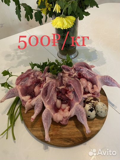 Яйца перепелиные домашние, мясо перепелов