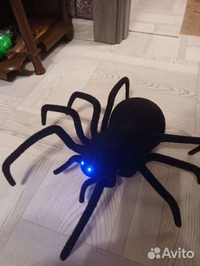 Паук на пульте управления