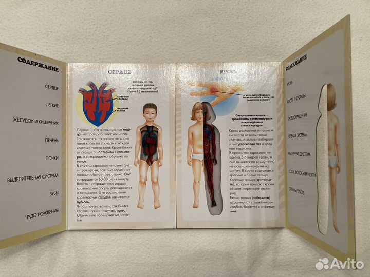 Книги детям про тело человека