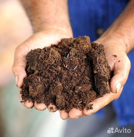 Чернозём торф навоз перегной