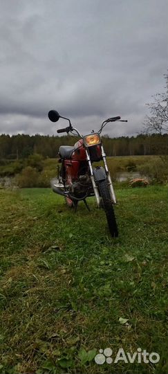 Alpha 50cc