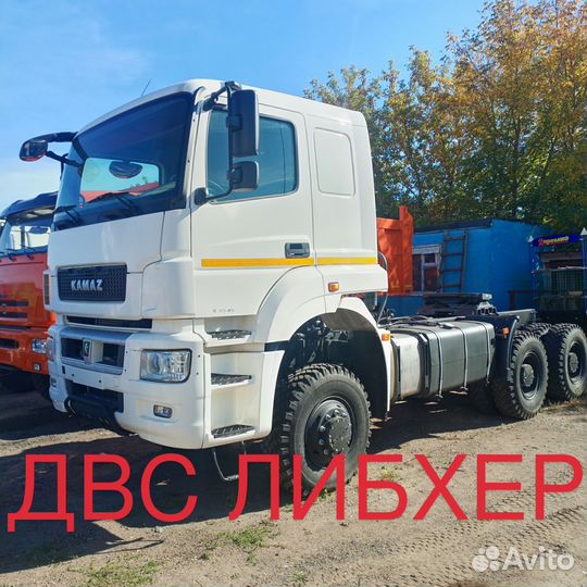 КамАЗ 65225, 2018