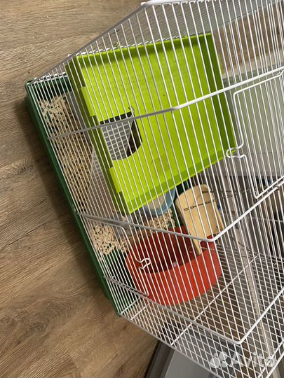 Джунгарский хомяк с клеткой