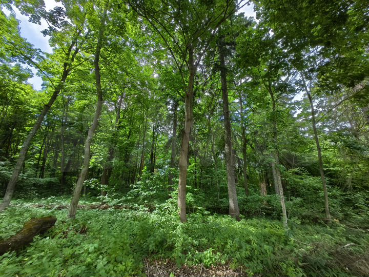 Участок 18 сот. (ИЖС)