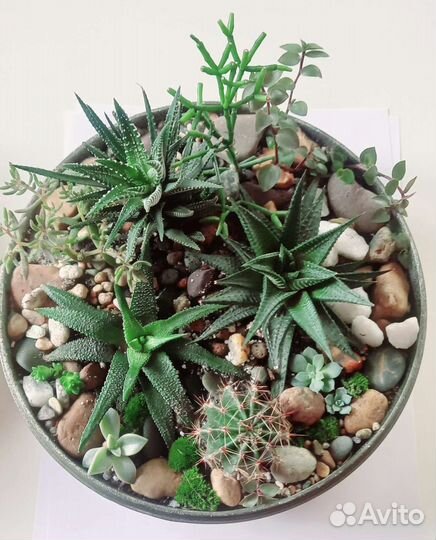 Лучший подарок