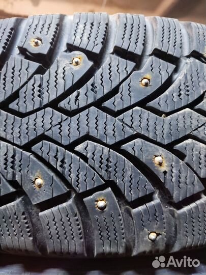 Formula Ice 195/65 R15