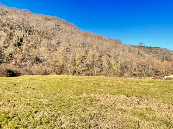 Участок 50 сот. (ИЖС)