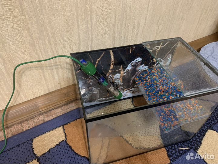 Аквариум для черепах