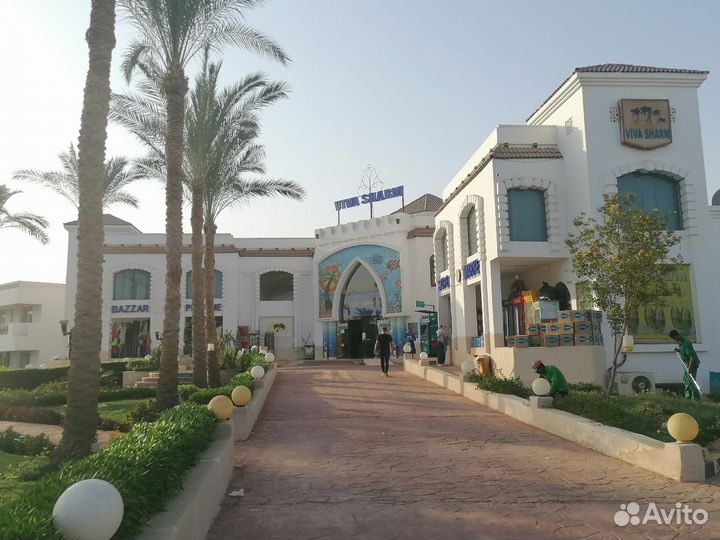 Об отдыхе в Египте