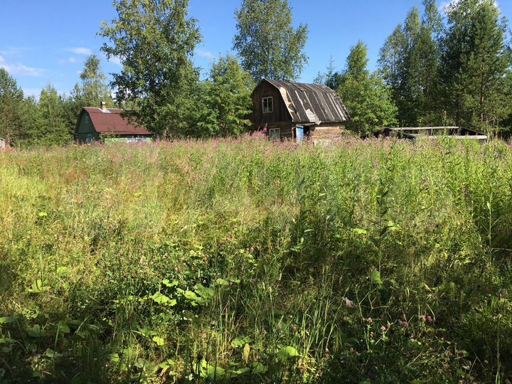 Участок 9 сот. (СНТ, ДНП)