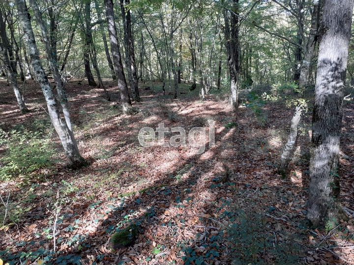 Участок 8 сот. (СНТ, ДНП)