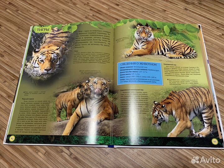 Энциклопедия животного мира