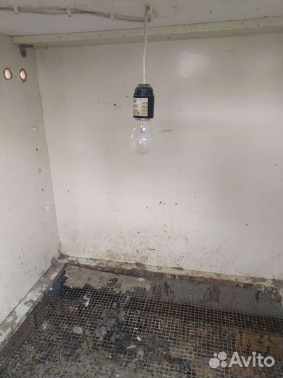 Продам брудер