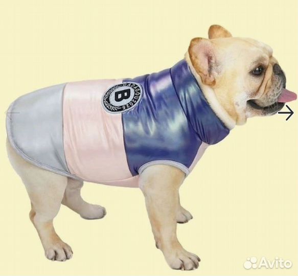Продам одежду для собаки