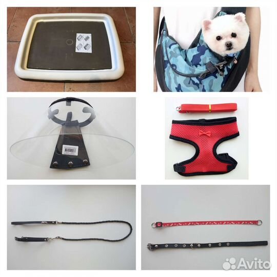 Ошейник, поводок, шлейка, сумка