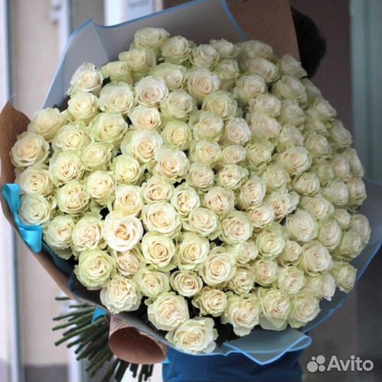 Роза Эквадор 50-80см