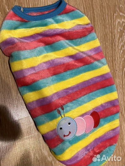 Одежда - боди для кота 2шт новая