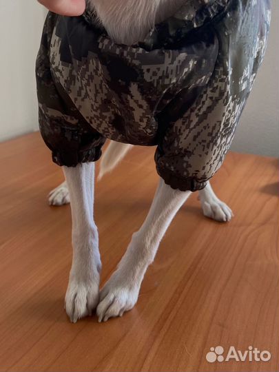 Костюмы для маленьких собак дем.сезон/зима