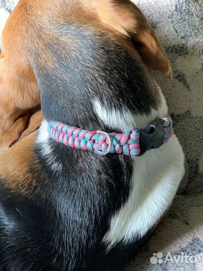 Ошейник для собак ручной работы