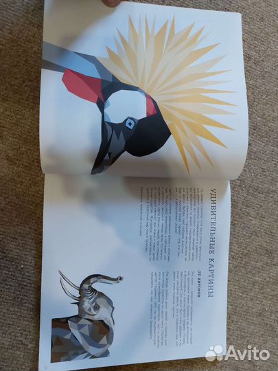 Взломай код дикая раскраска