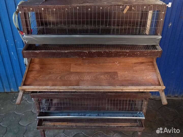 Клетки для перепелов бу