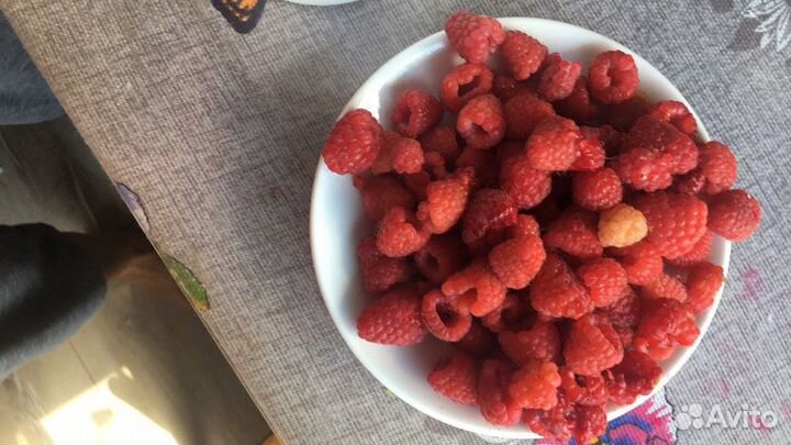 Саженцы малины красной